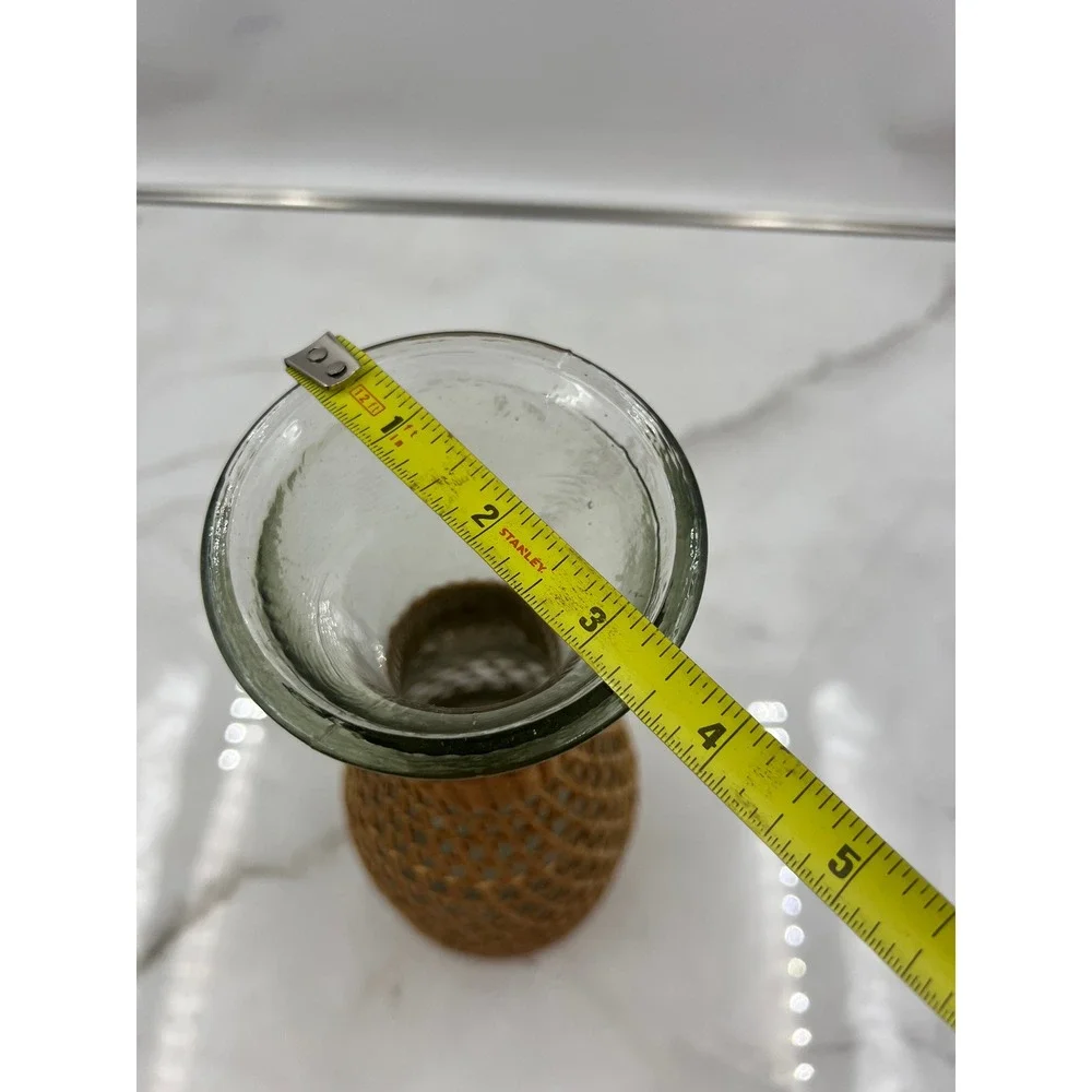 Cost Plus World Market handcrafted glass